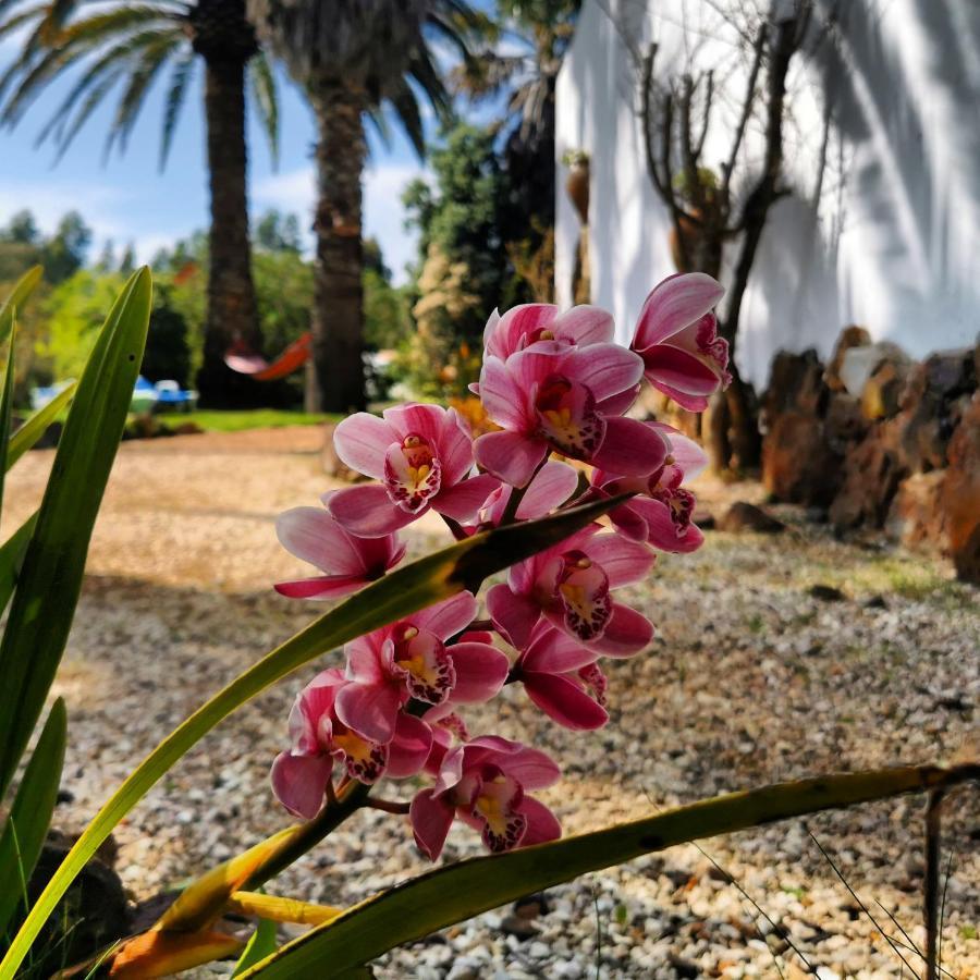 Quinta Do Paraiso Сан-Теотониу Экстерьер фото